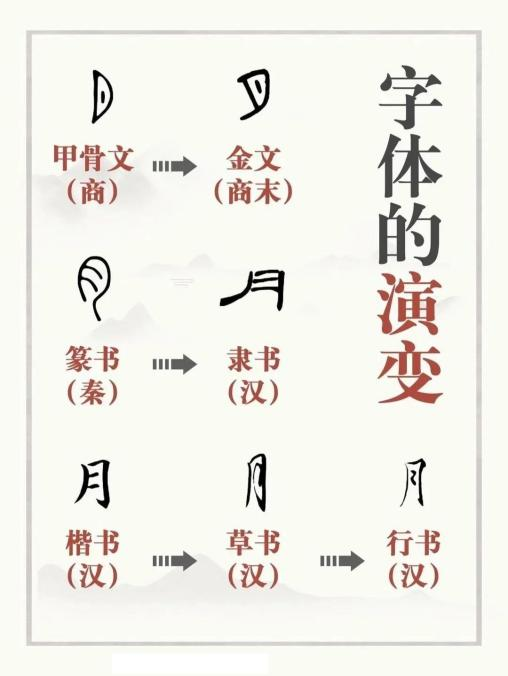 在线微课|汉字的起源与演变 - 研究 - 在线学习 - 无锡博物院