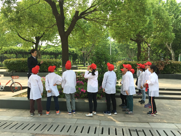 绿植1.png