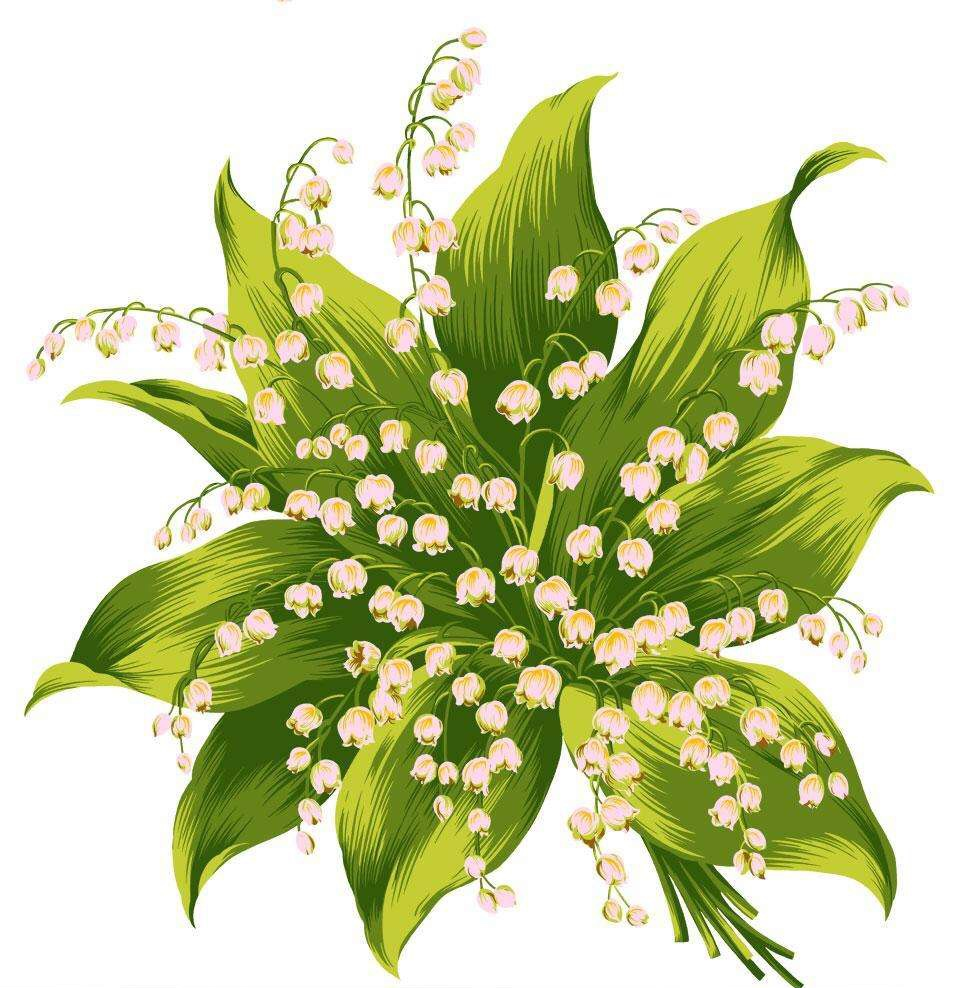 植物王国.png