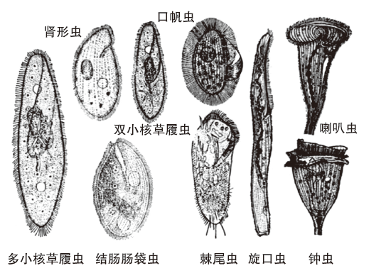 图片21.png