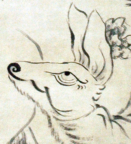 04 松鹿头部01.jpg