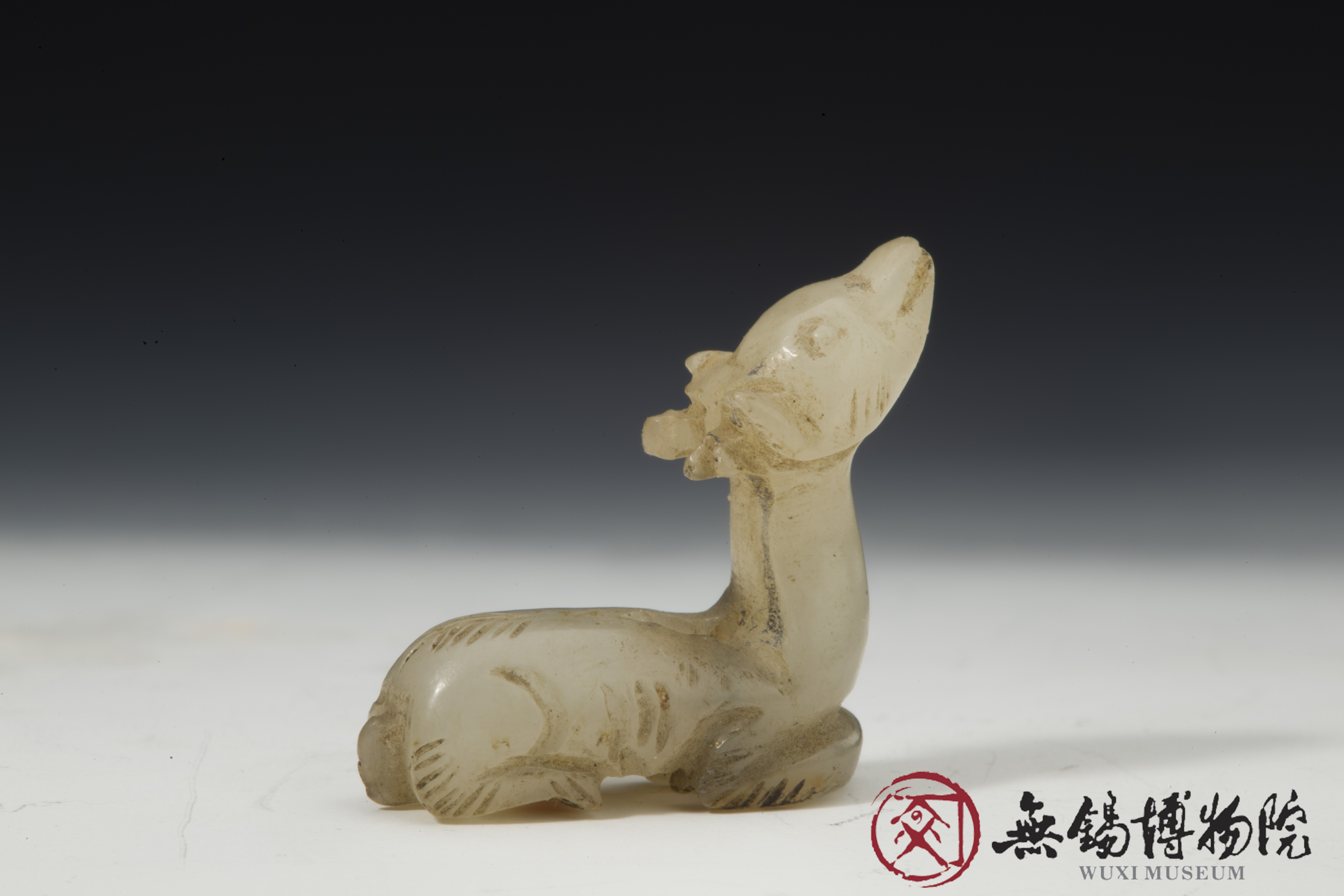 11 元 小鹿 院标.jpg