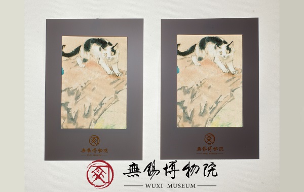 趣猫胶片明信片.jpg