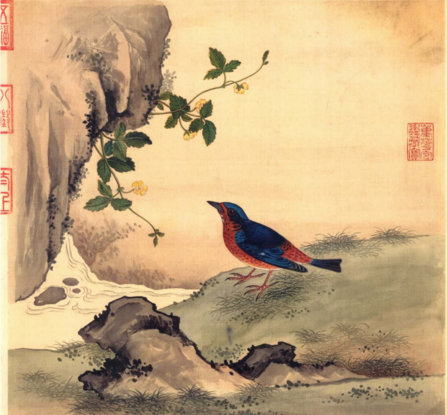 清宫鸟谱 翠鸟.png