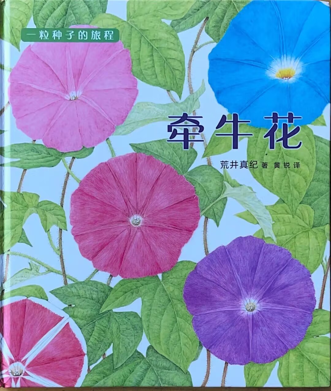 A0BDE1FF0C782711F239666E5289C5B3.png