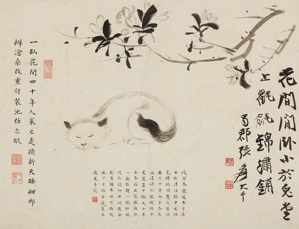 117张大千卧猫fb.jpg