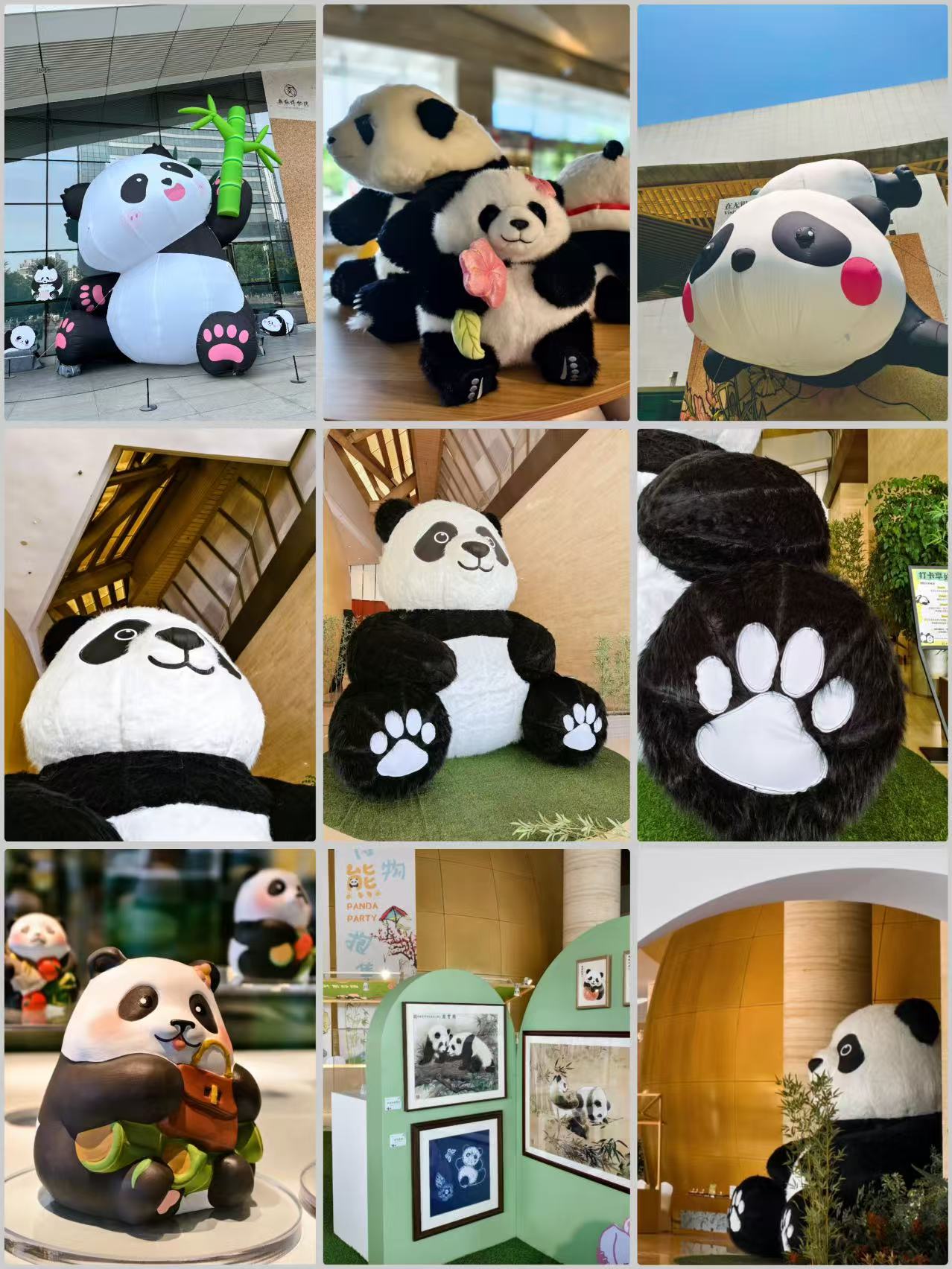 微信图片_20250605092912_801.jpg