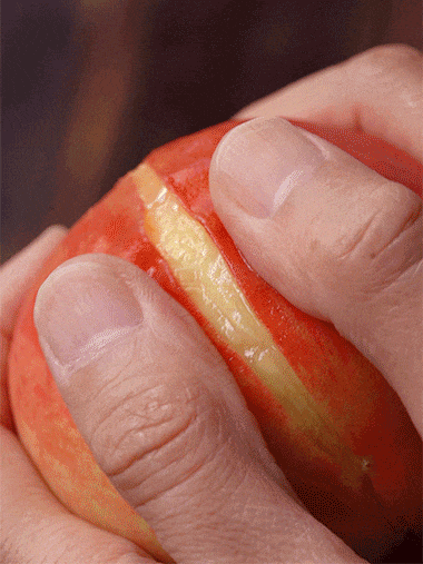 1.gif
