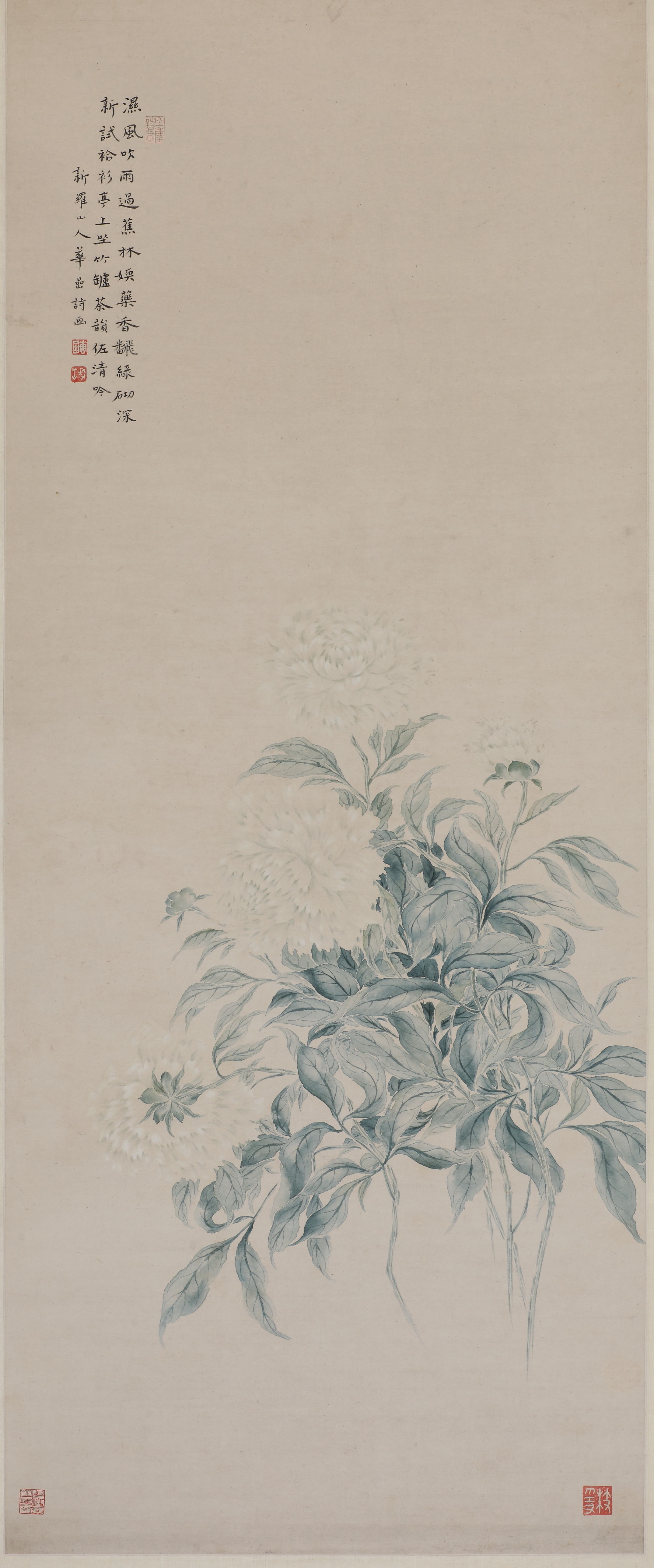清华喦白芍药图轴.JPG