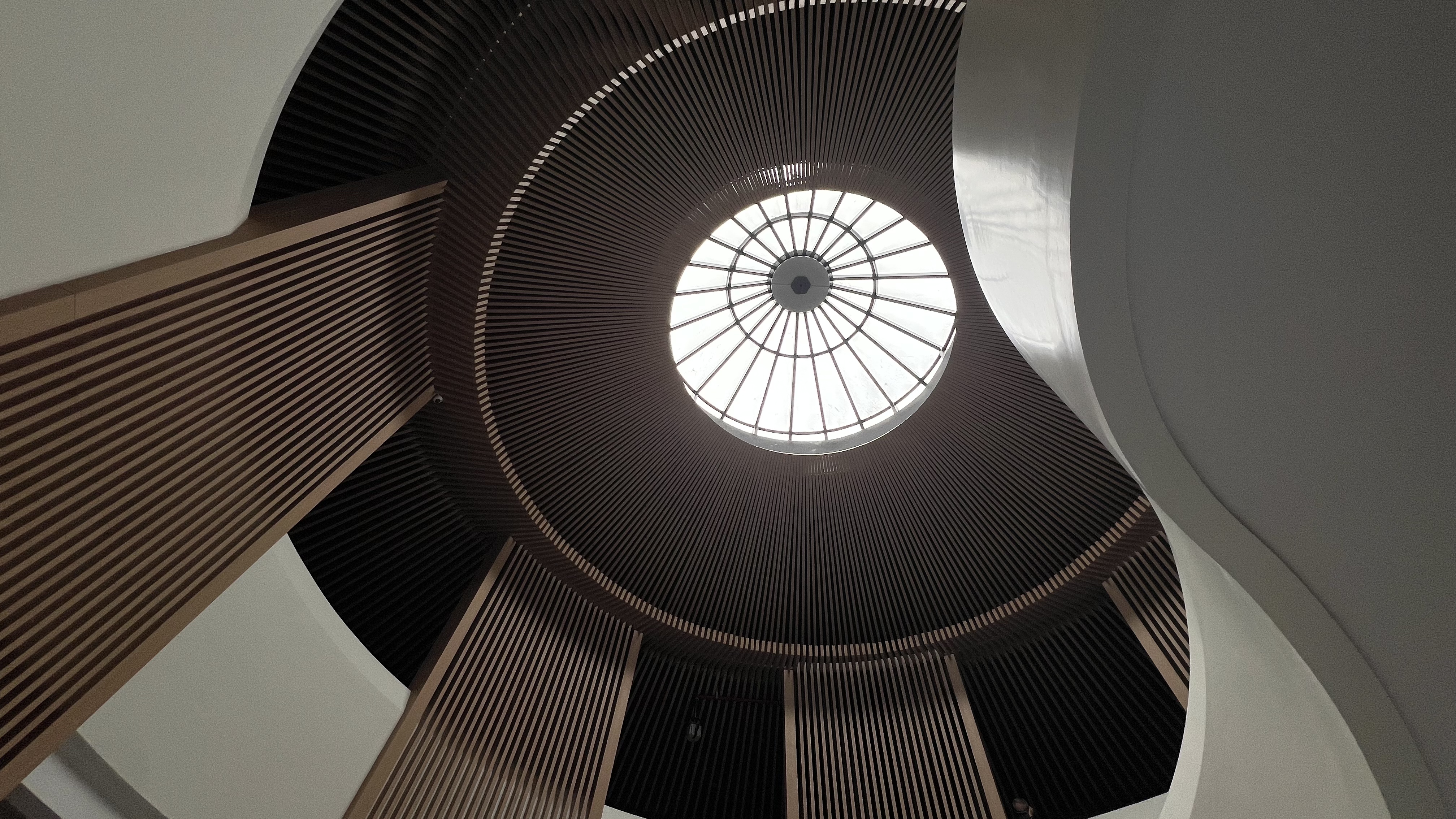 mmexport1762914984051.jpg mmexport1762914984051.jpg