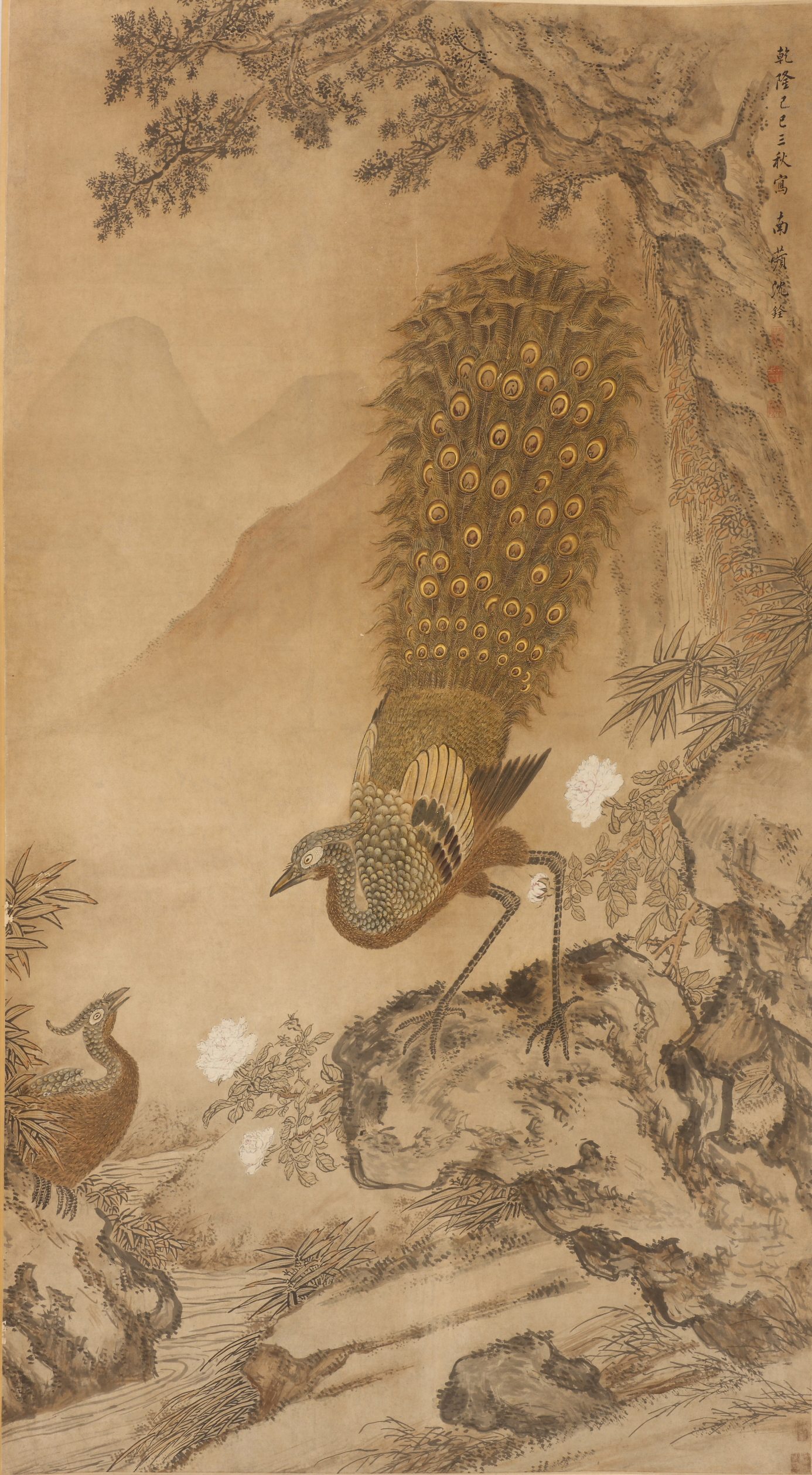 清 沈铨 孔雀图轴fb.jpg 清 沈铨 孔雀图轴fb.jpg