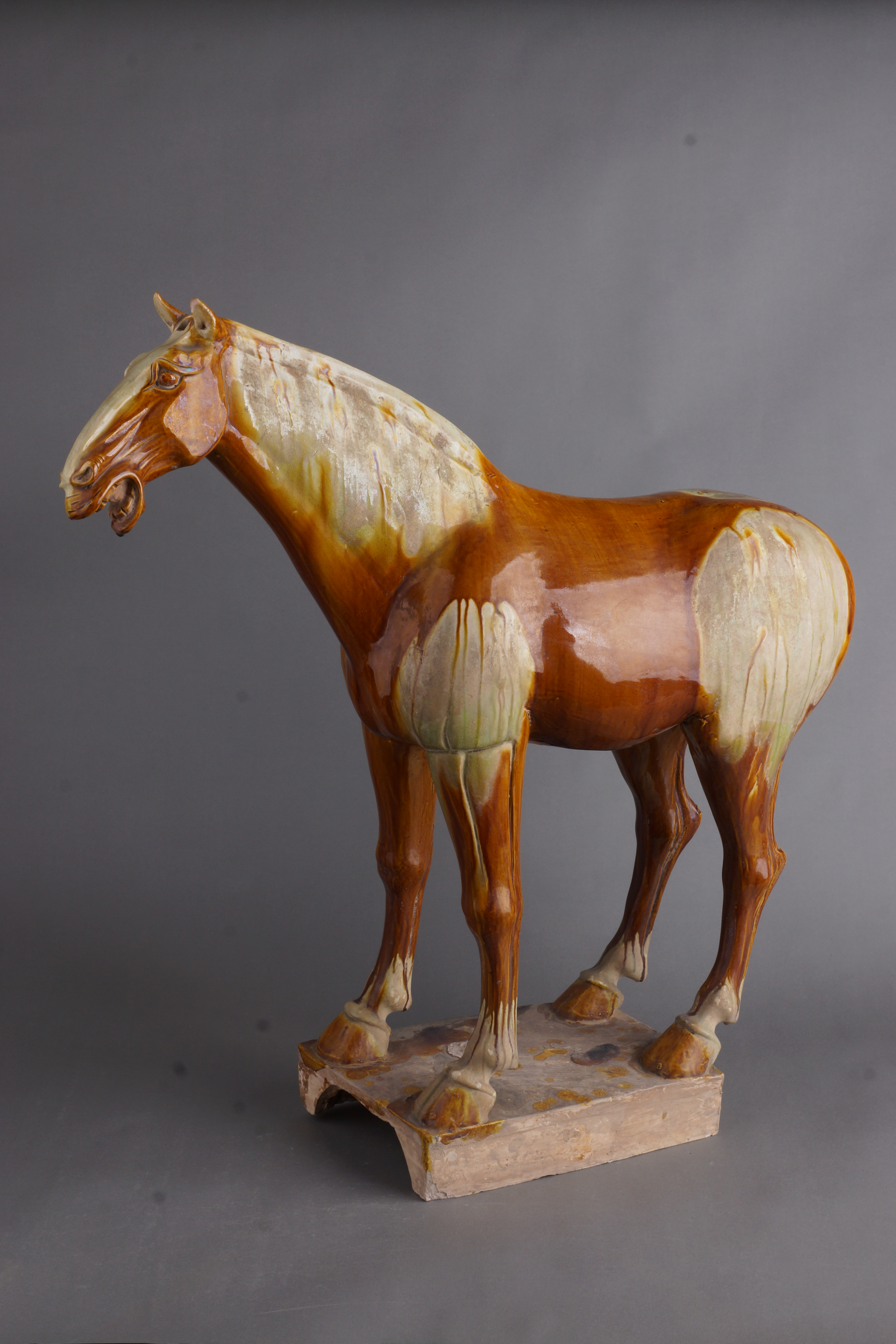 唐 酱黄釉三彩马.JPG