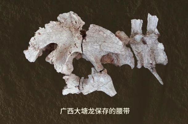 de589446-ea19-428d-952e-982ddf5993d1.png