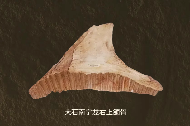 69fbe148-1a0b-49df-b63b-6c3f84c61141.png 69fbe148-1a0b-49df-b63b-6c3f84c61141.png
