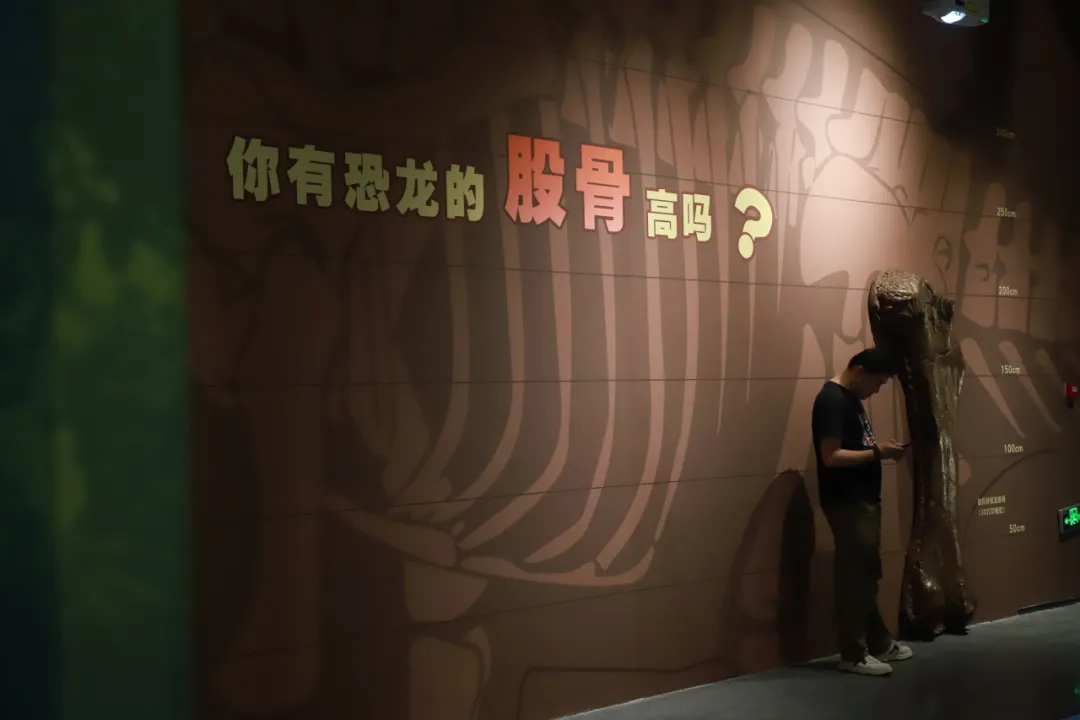 ce3b0689-36c2-4f8b-9d3f-70788dea2dc7.png ce3b0689-36c2-4f8b-9d3f-70788dea2dc7.png