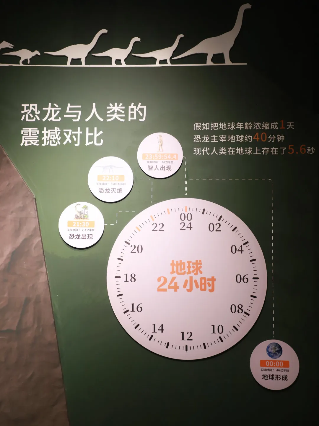 8cf5e5d5-f445-4471-b797-03de67bd67a1.png 8cf5e5d5-f445-4471-b797-03de67bd67a1.png